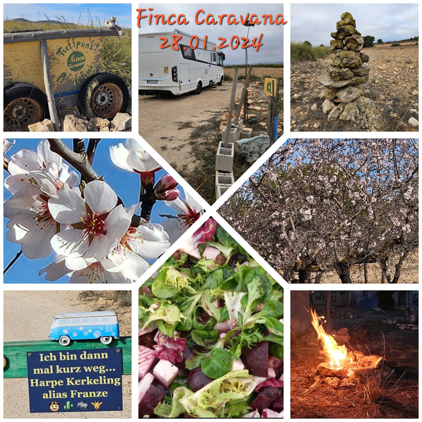 Área de autocaravanas Finca-Caravana — photo 2